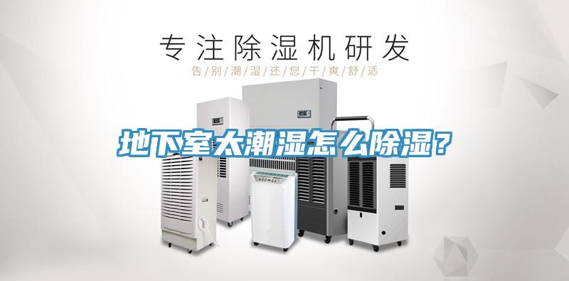 地下室太潮濕怎么除濕？