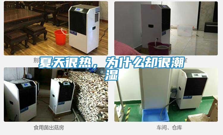 夏天很熱，為什么卻很潮濕