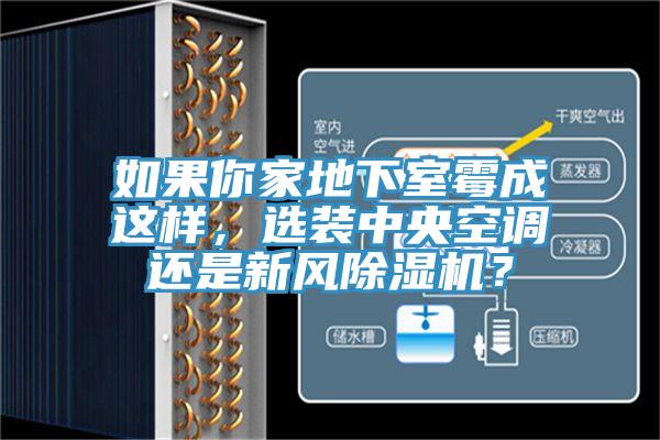 如果你家地下室霉成這樣，選裝中央空調(diào)還是新風(fēng)除濕機(jī)？