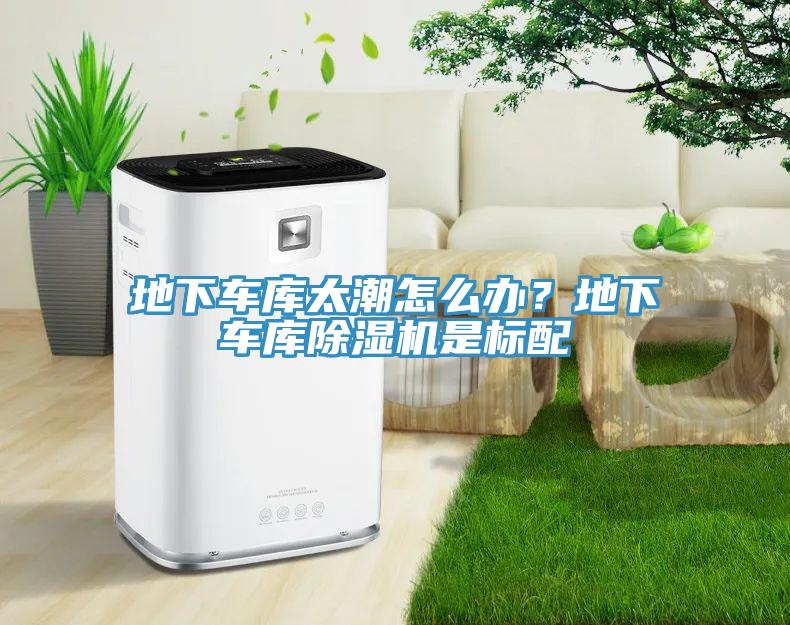地下車庫(kù)太潮怎么辦？地下車庫(kù)除濕機(jī)是標(biāo)配