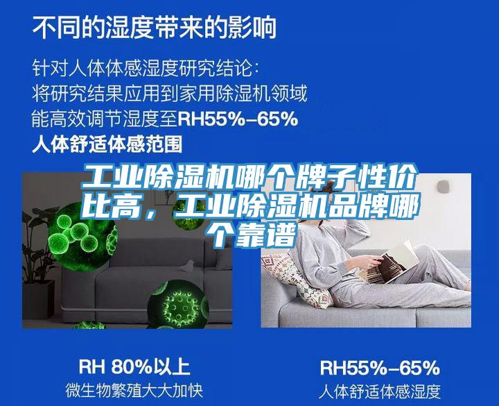工業(yè)除濕機哪個牌子性價比高，工業(yè)除濕機品牌哪個靠譜