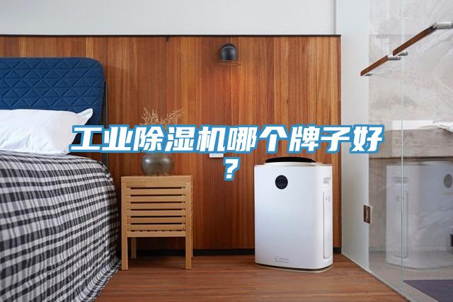 工業(yè)除濕機(jī)哪個(gè)牌子好？
