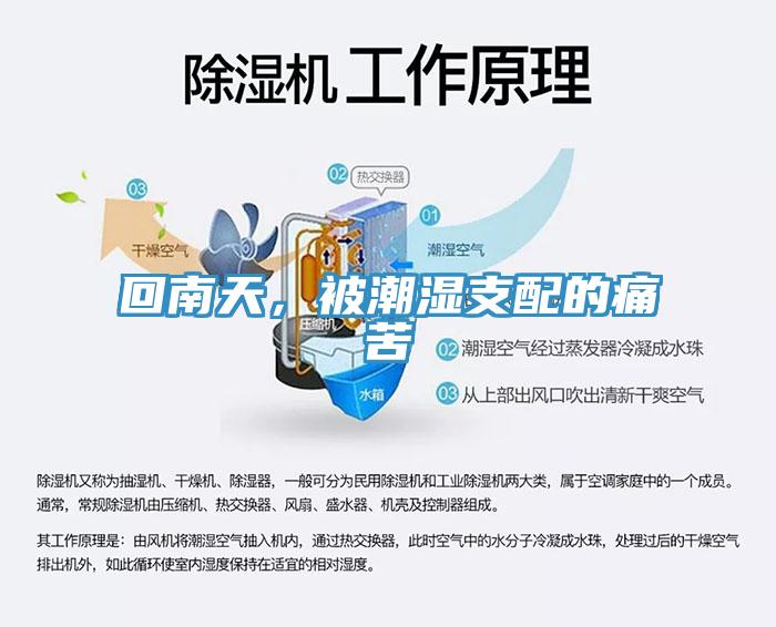 回南天，被潮濕支配的痛苦