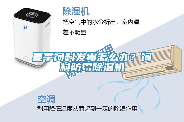 夏季飼料發(fā)霉怎么辦？飼料防霉除濕機(jī)