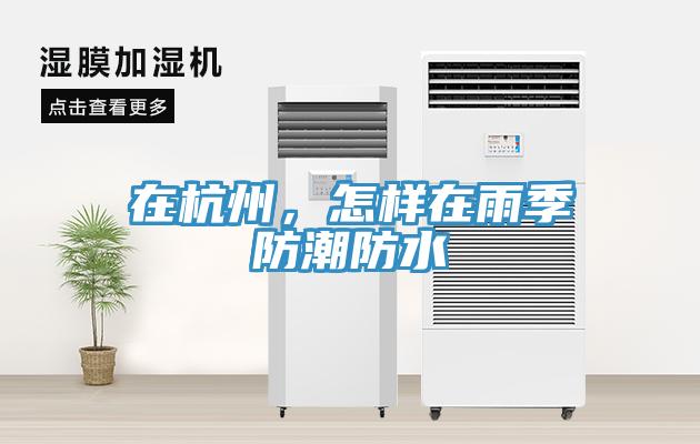 在杭州，怎樣在雨季防潮防水