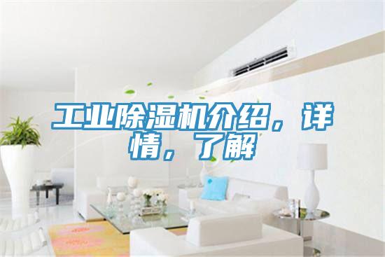 工業(yè)除濕機(jī)介紹，詳情，了解