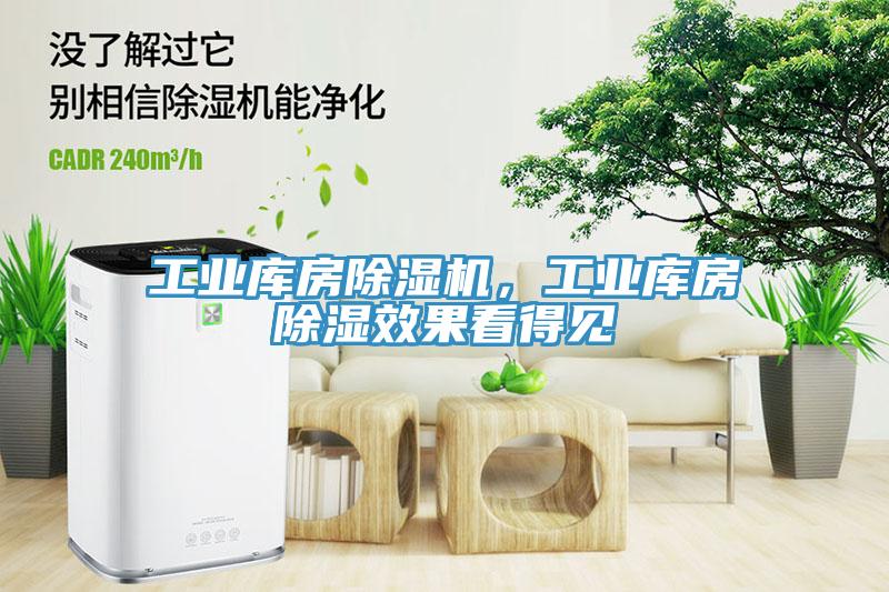 工業(yè)庫(kù)房除濕機(jī)，工業(yè)庫(kù)房除濕效果看得見(jiàn)