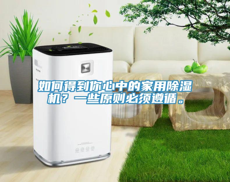 如何得到你心中的家用除濕機？一些原則必須遵循。