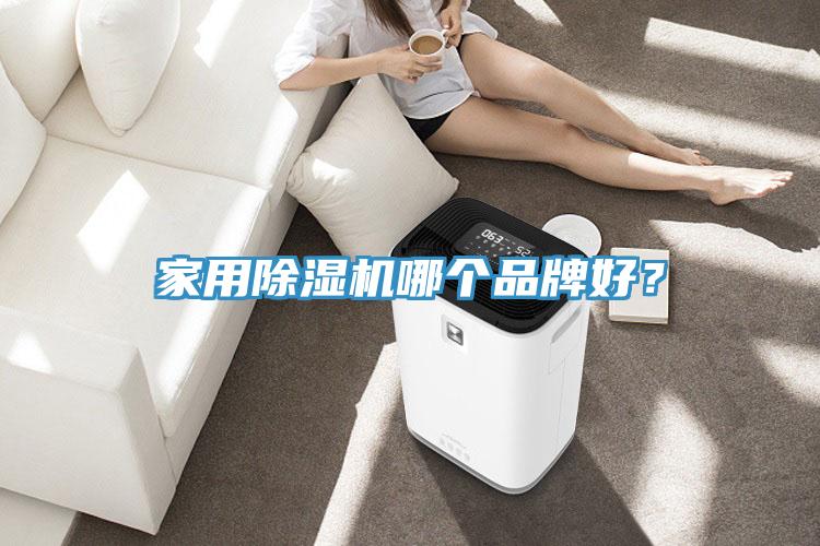 家用除濕機(jī)哪個(gè)品牌好？