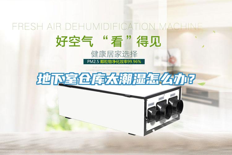 地下室倉(cāng)庫(kù)太潮濕怎么辦？