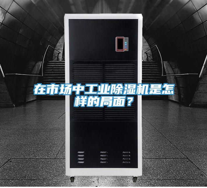 在市場中工業(yè)除濕機(jī)是怎樣的局面？