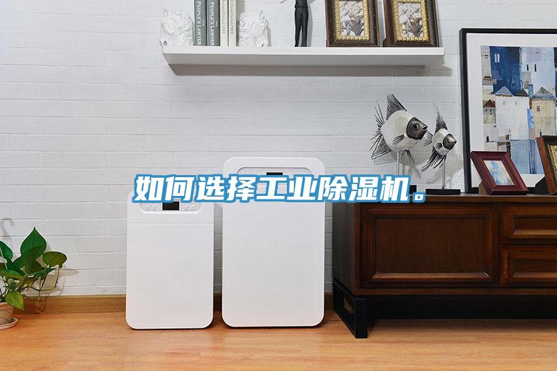 如何選擇工業(yè)除濕機(jī)。