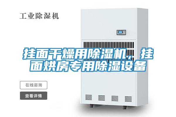 掛面干燥用除濕機(jī)，掛面烘房專(zhuān)用除濕設(shè)備