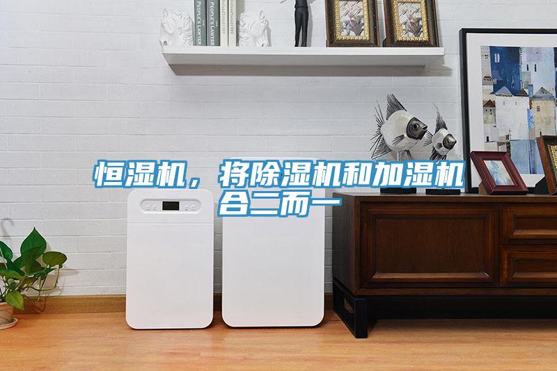 恒濕機(jī)，將除濕機(jī)和加濕機(jī)合二而一