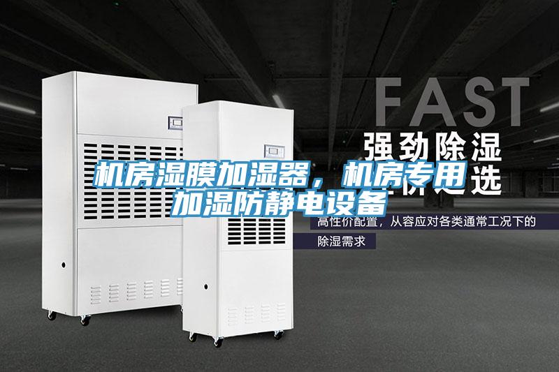 機(jī)房濕膜加濕器，機(jī)房專用加濕防靜電設(shè)備