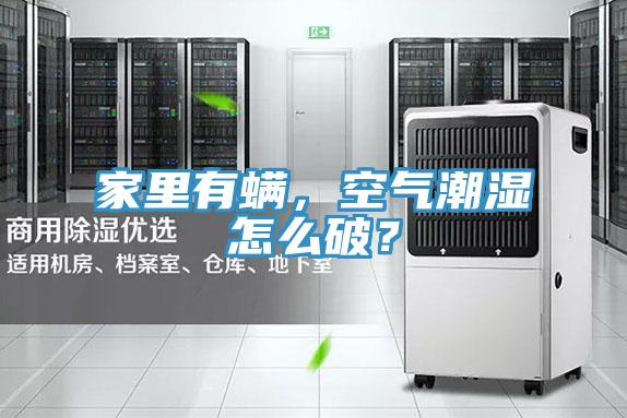 家里有螨，空氣潮濕怎么破？