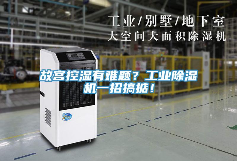 故宮控濕有難題？工業(yè)除濕機一招搞掂！