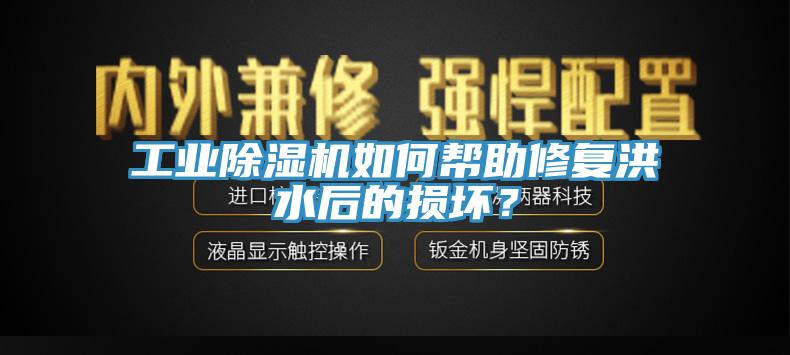 工業(yè)除濕機(jī)如何幫助修復(fù)洪水后的損壞？