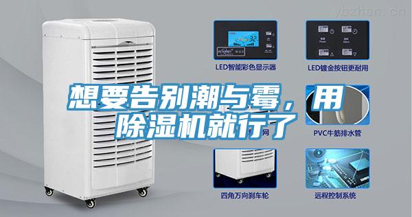 想要告別潮與霉，用除濕機就行了