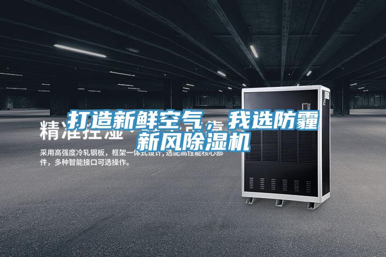 打造新鮮空氣，我選防霾新風(fēng)除濕機(jī)