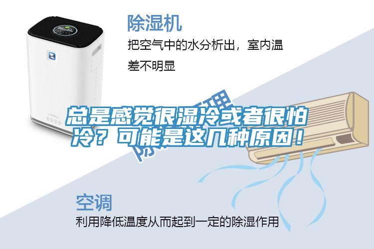 總是感覺很濕冷或者很怕冷？可能是這幾種原因！