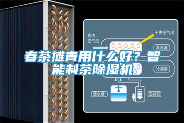 春茶攤青用什么好？智能制茶除濕機(jī)