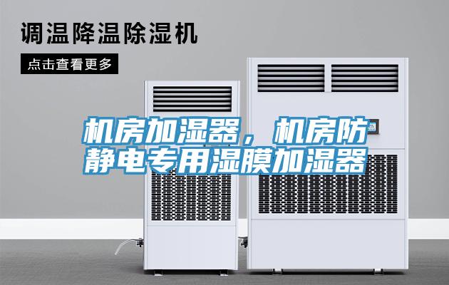 機(jī)房加濕器，機(jī)房防靜電專用濕膜加濕器