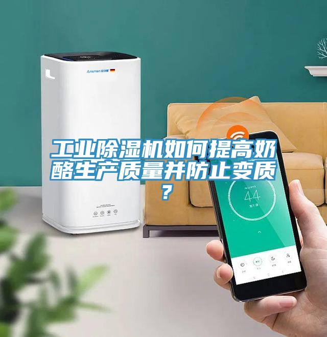 工業(yè)除濕機(jī)如何提高奶酪生產(chǎn)質(zhì)量并防止變質(zhì)？