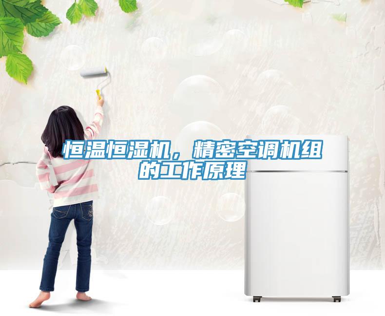 恒溫恒濕機(jī)，精密空調(diào)機(jī)組的工作原理