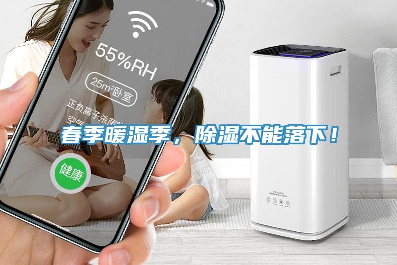 春季暖濕季，除濕不能落下！