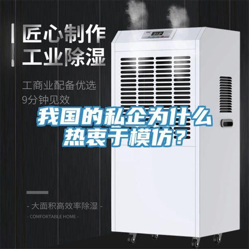 我國(guó)的私企為什么熱衷于模仿？