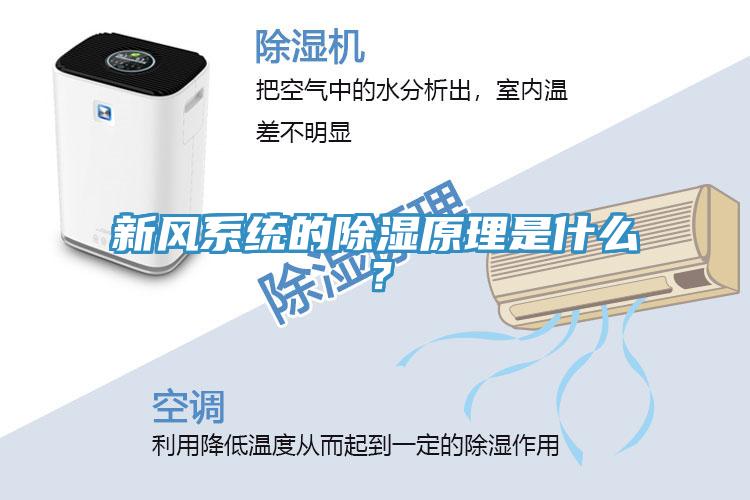 新風(fēng)系統(tǒng)的除濕原理是什么？