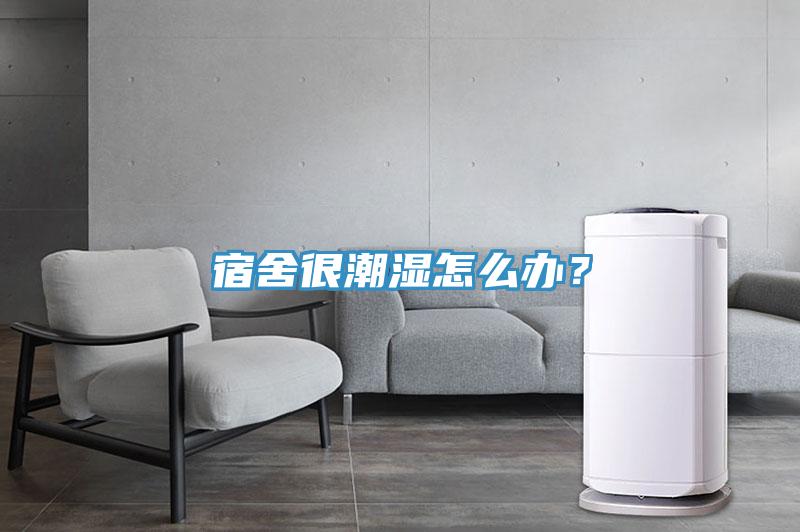 宿舍很潮濕怎么辦？
