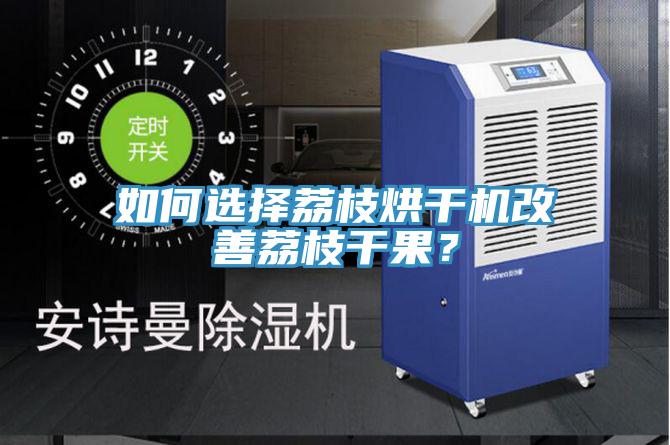 如何選擇荔枝烘干機(jī)改善荔枝干果？