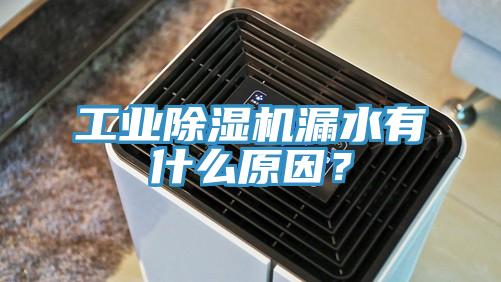 工業(yè)除濕機(jī)漏水有什么原因？