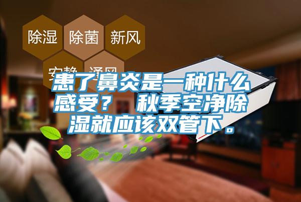 患了鼻炎是一種什么感受？ 秋季空凈除濕就應(yīng)該雙管下。
