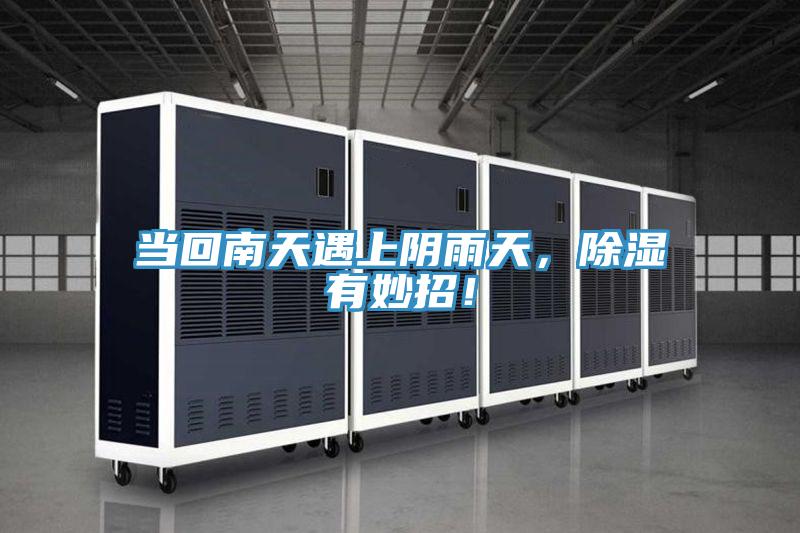當回南天遇上陰雨天，除濕有妙招！