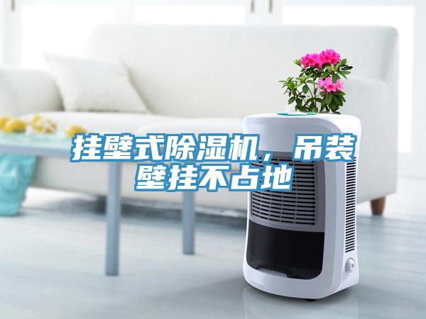 掛壁式除濕機(jī)，吊裝壁掛不占地