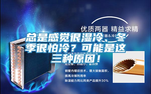 總是感覺很濕冷、冬季很怕冷？可能是這三種原因！