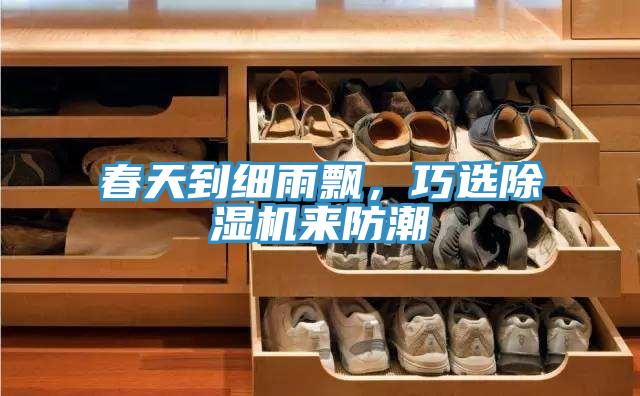 春天到細(xì)雨飄，巧選除濕機來防潮