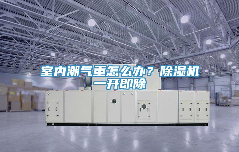 室內(nèi)潮氣重怎么辦？除濕機(jī)一開(kāi)即除