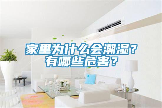 家里為什么會潮濕？有哪些危害？