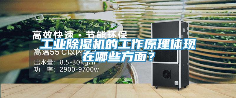 工業(yè)除濕機(jī)的工作原理體現(xiàn)在哪些方面？