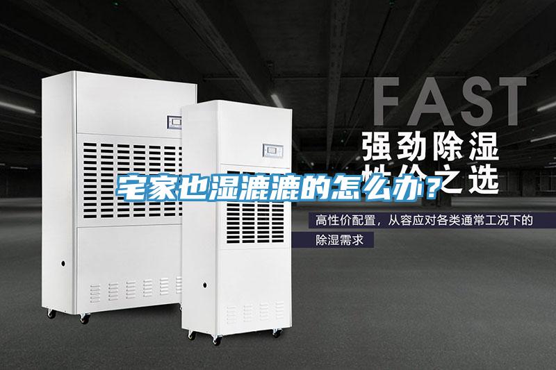 宅家也濕漉漉的怎么辦？