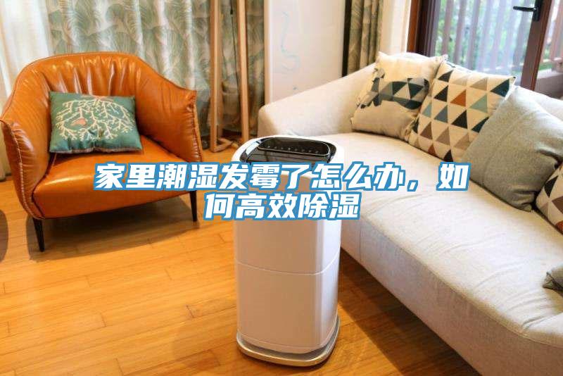 家里潮濕發(fā)霉了怎么辦，如何高效除濕