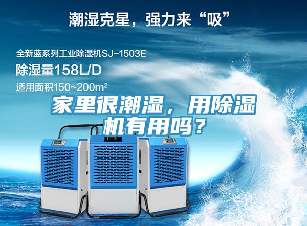 家里很潮濕，用除濕機有用嗎？