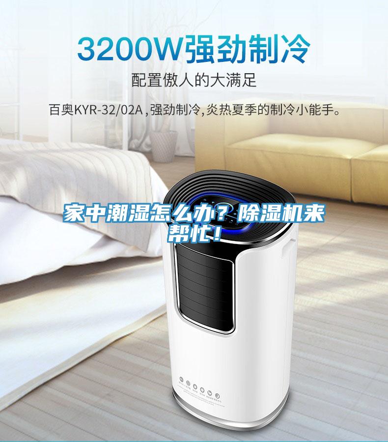 家中潮濕怎么辦？除濕機(jī)來(lái)幫忙！