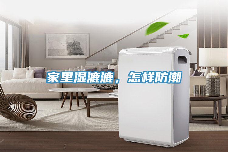 家里濕漉漉，怎樣防潮