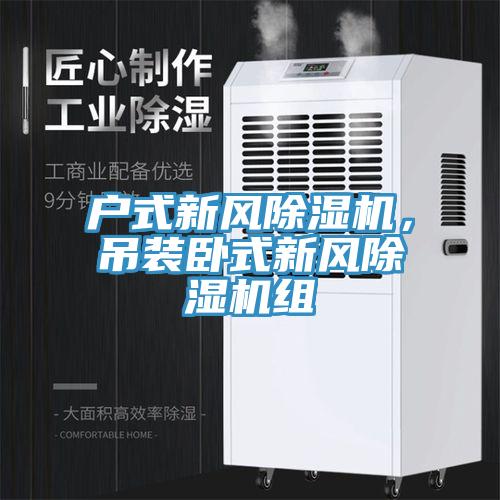 戶式新風(fēng)除濕機(jī)，吊裝臥式新風(fēng)除濕機(jī)組