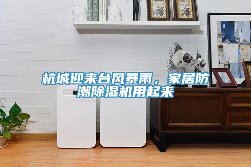 杭城迎來臺風(fēng)暴雨，家居防潮除濕機用起來